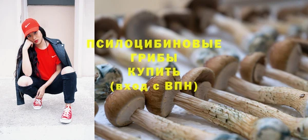 MDMA Premium VHQ Майский