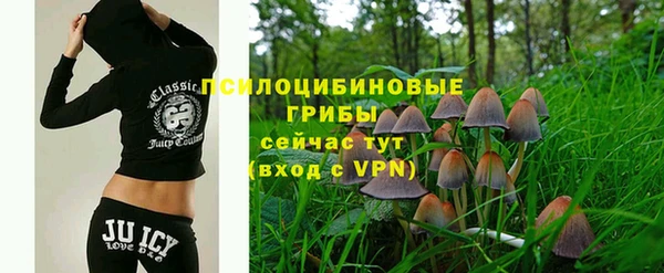 амф Алексеевка