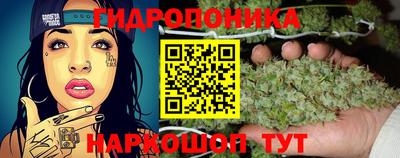 гашиш Новокубанск