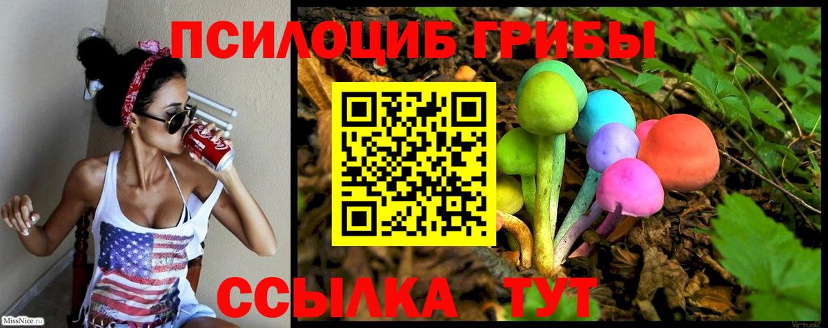 Обнинск  Псилоцибиновые грибы Psilocybine cubensis  Вход с VPN  Псилоцибиновые грибы Magic Shrooms 